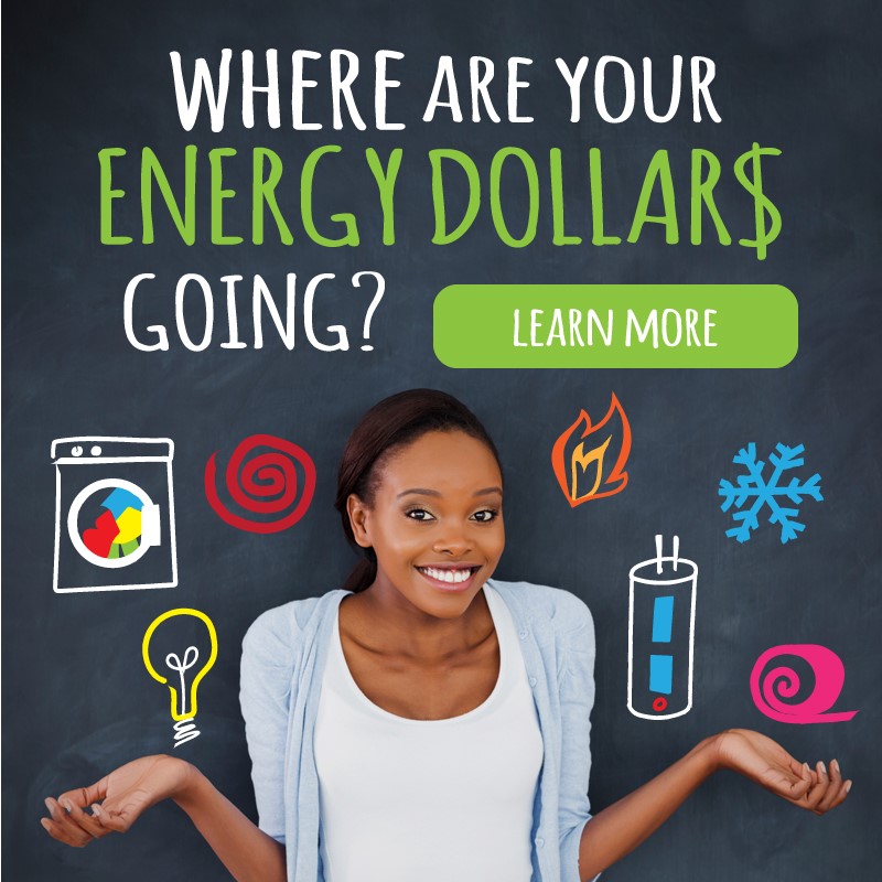 decorative flyer that reads where are your energy dollars going